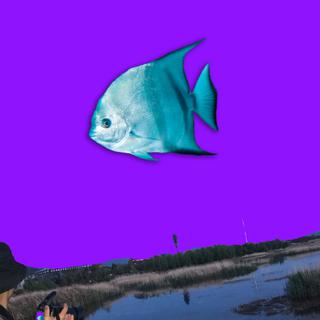 定