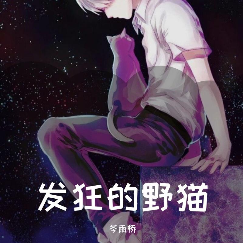 发狂的野猫