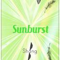 Sunburst(iShang Remix)专辑