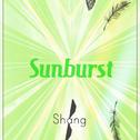 Sunburst(iShang Remix)专辑