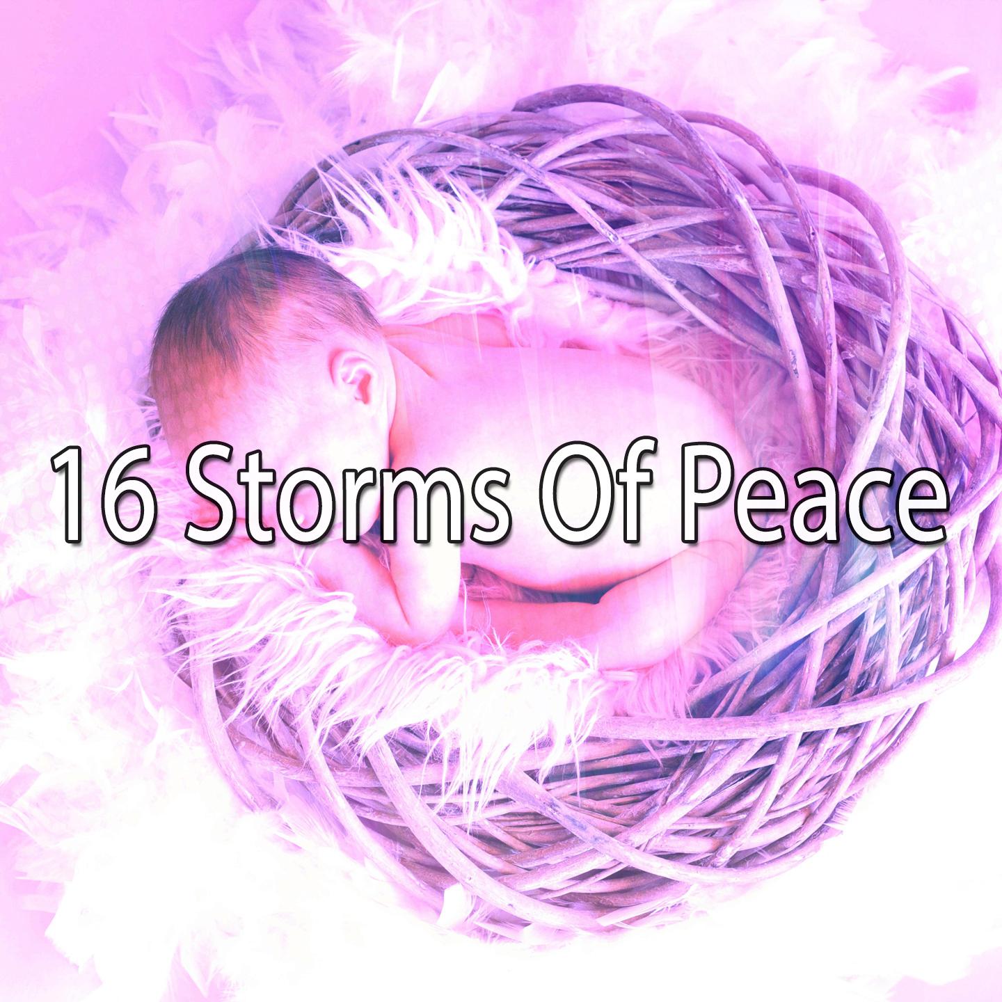 16 Storms Of Peace专辑