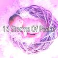 16 Storms Of Peace