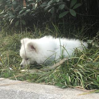 欧美范摇滚每日必听
