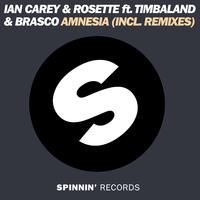 Ian Carey、Rosettetimbaland、Brasco - Amnesia