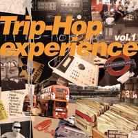 Trip-Hop Experience Vol. 1