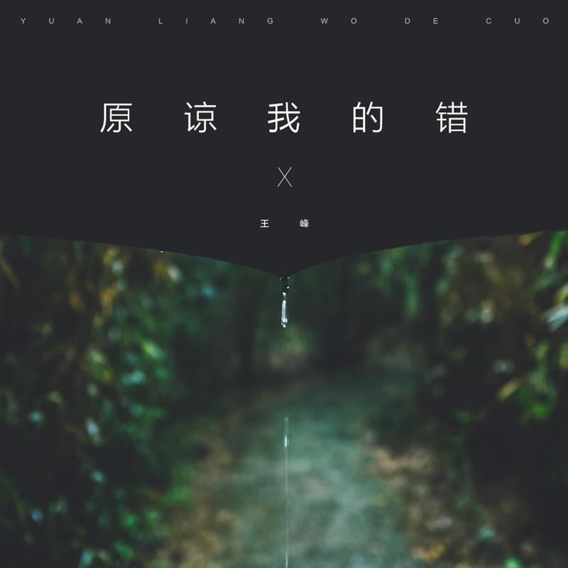 原谅我的错