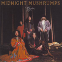 Midnight Mushrumps专辑