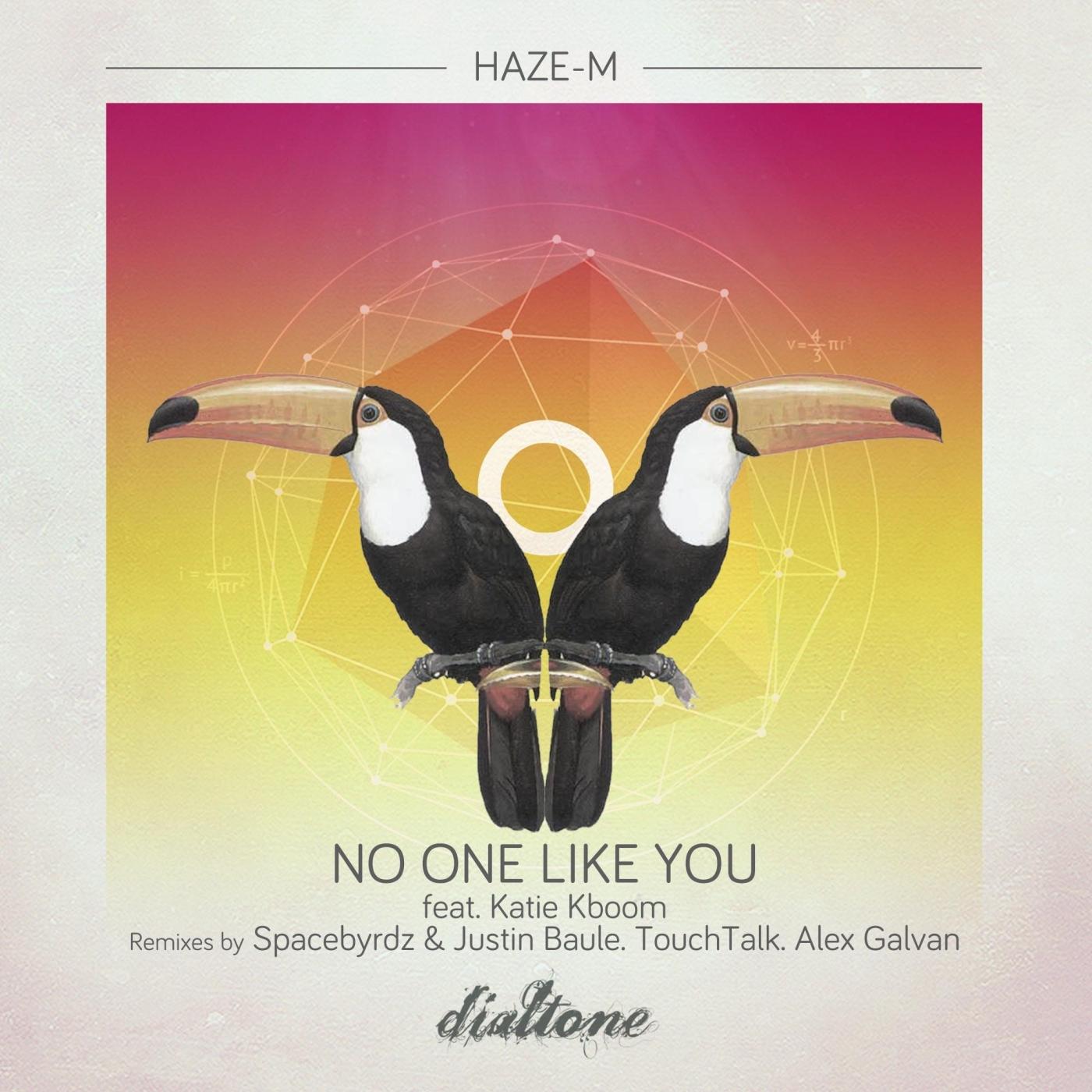 No One Like You
