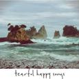 Tearful Happy Songs