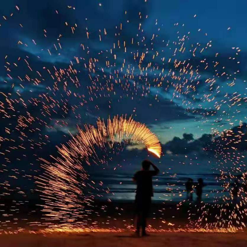 海鸥