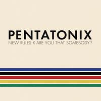 Pentatonix-New Rules x Are You That Somebody 伴奏 无人声 伴奏 更新AI版