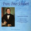 슈베르트 Schubert For Piano 8