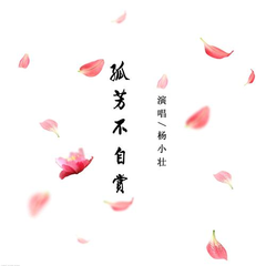 孤芳不自赏 (伴奏)