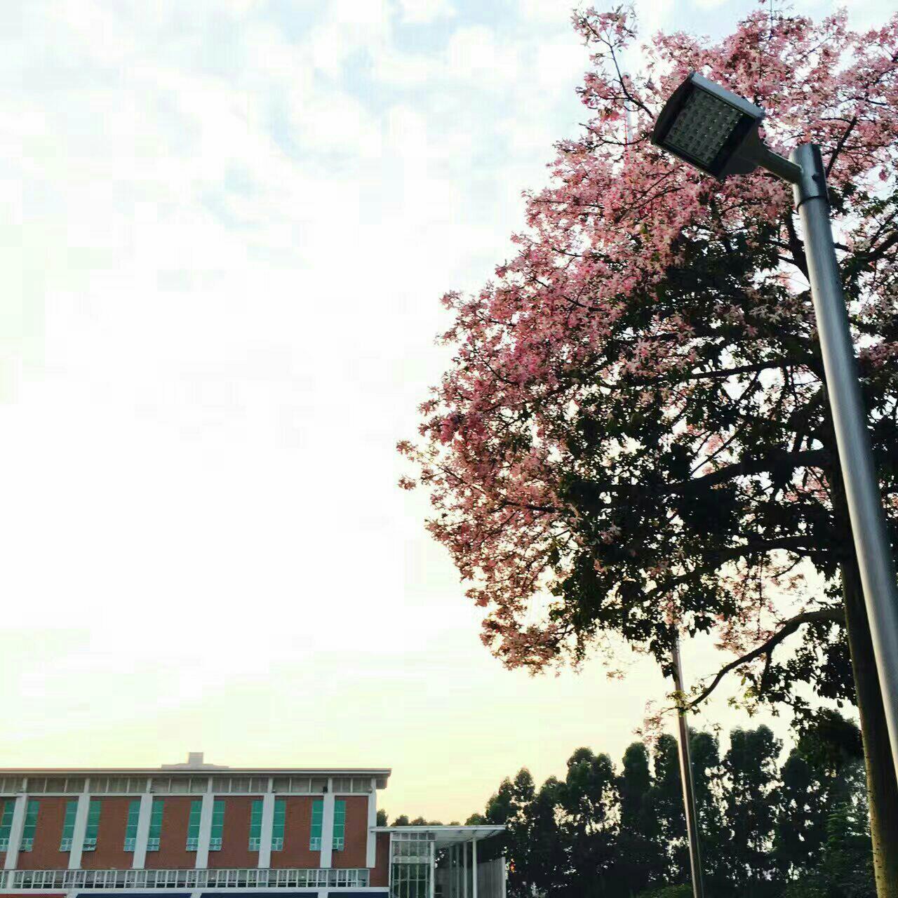 广东实验中学-省实人的歌
