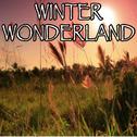 Winter Wonderland - Tribute to Michael Buble专辑