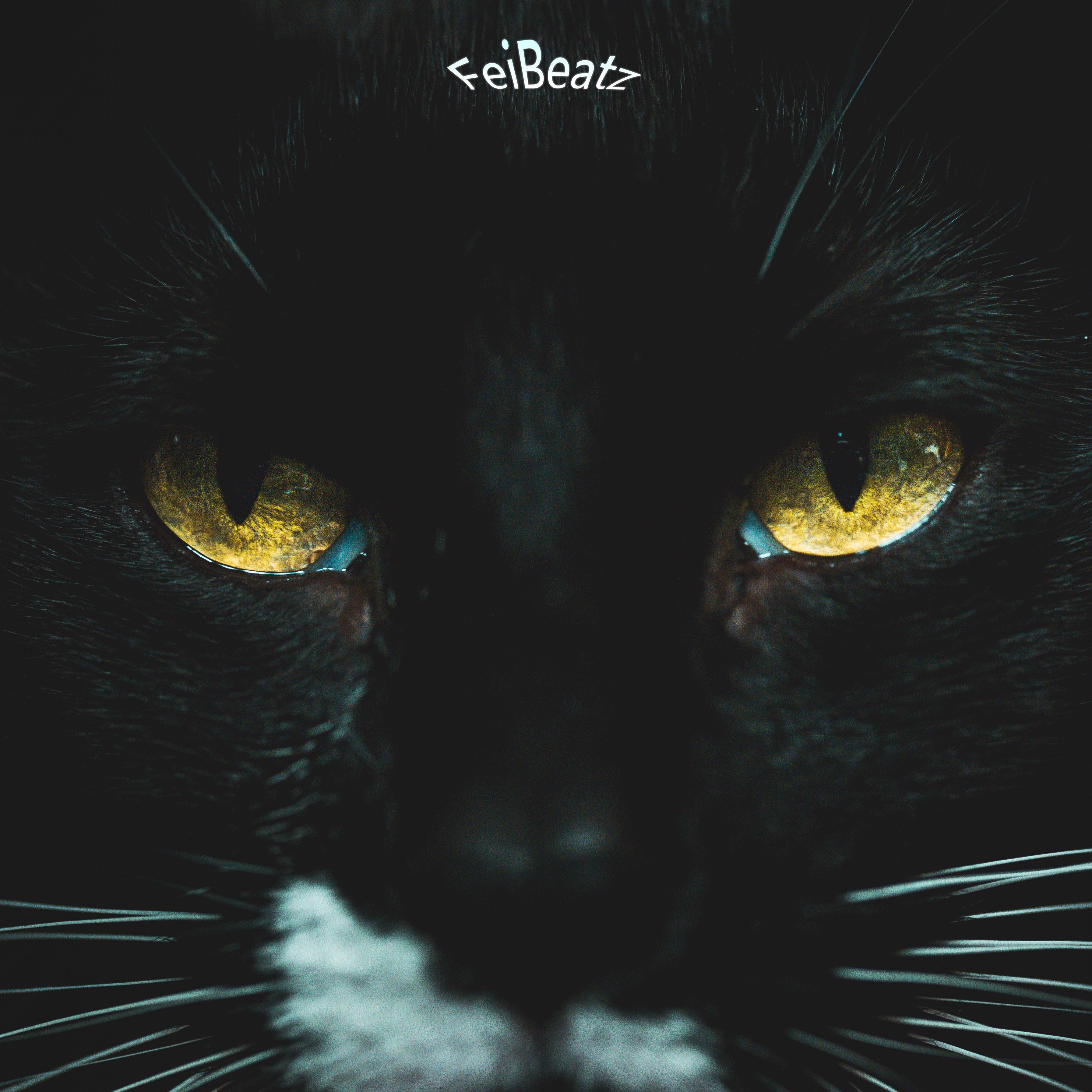 Fei Beatz vol.4