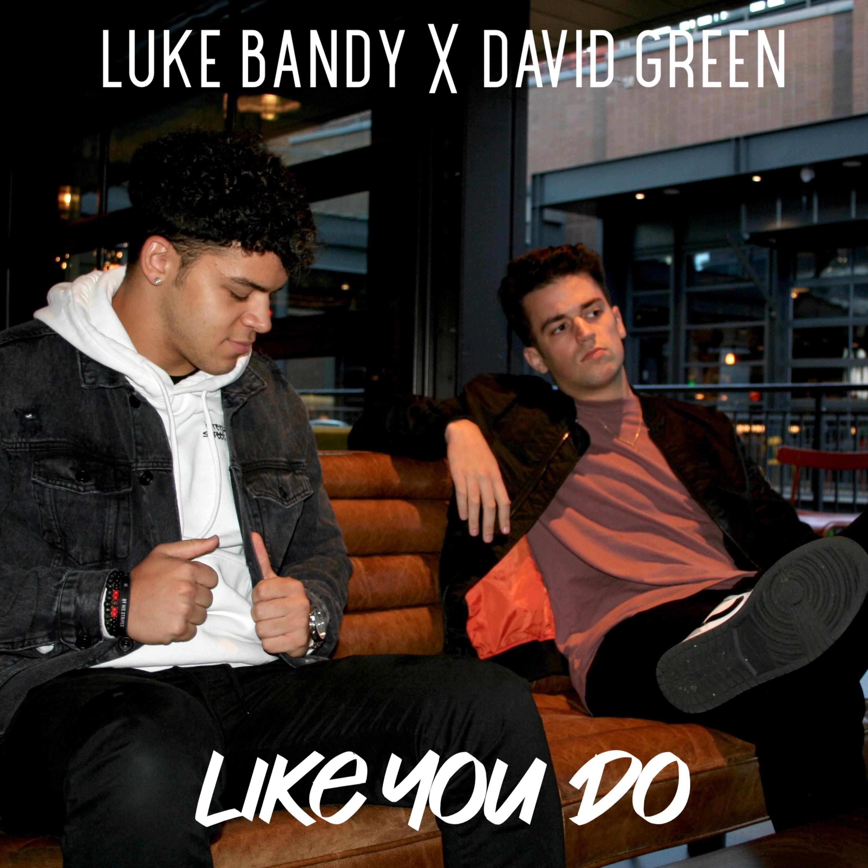Like You Do (feat. David Green)