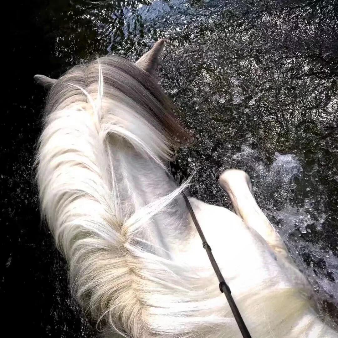 Raim,_Artur,_Adil_-_Симпа_(Mikis_Remix_Extended)