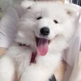 心绪链接歌手图片