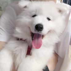 心绪链接