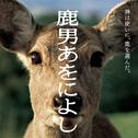 「鹿男あをによし」オリジナル・サウンドトラック专辑