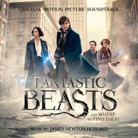 James Newton Howard - Fantastic Beasts： The Secrets of Dumbledore (精消 带伴唱)伴奏