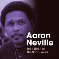 Neville Aaron - Tell It Like It Is (karaoke)