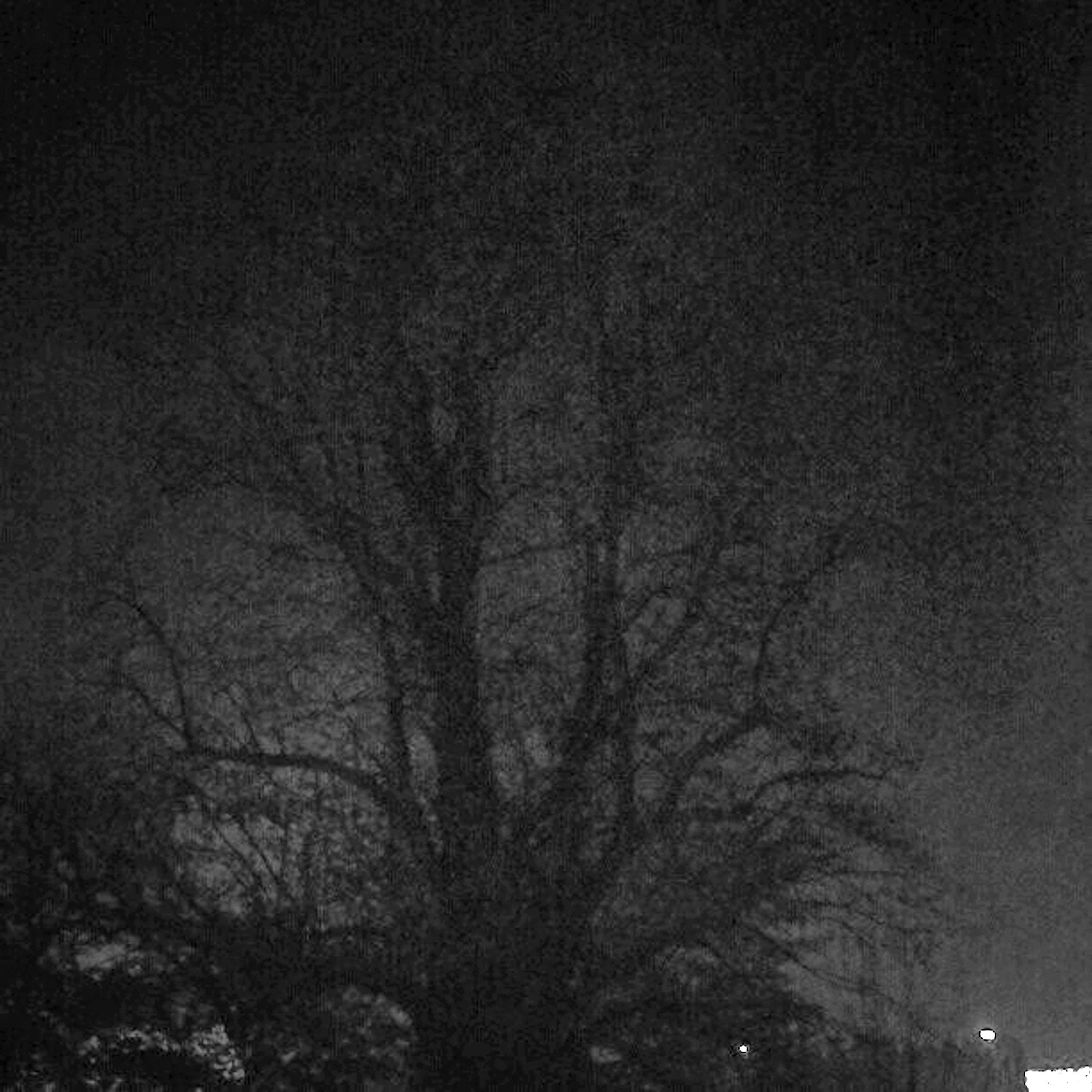 Haze of Emptiness