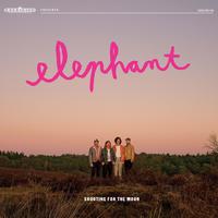 Elephant - Moonlight