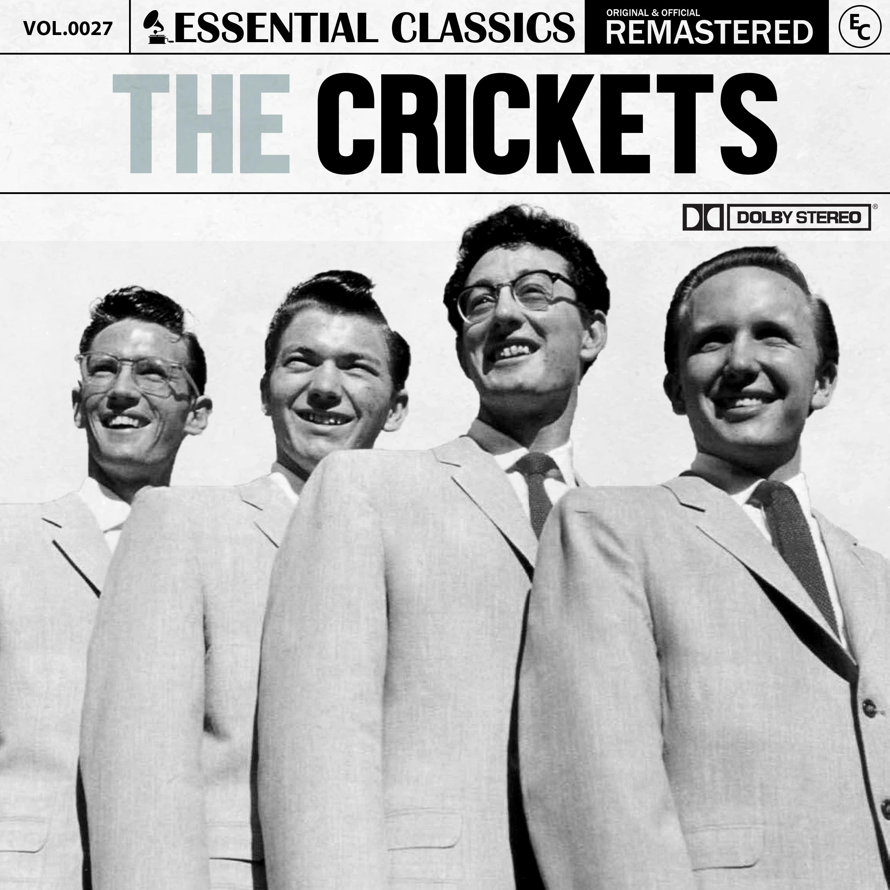 The Crickets - Raining in My Heart