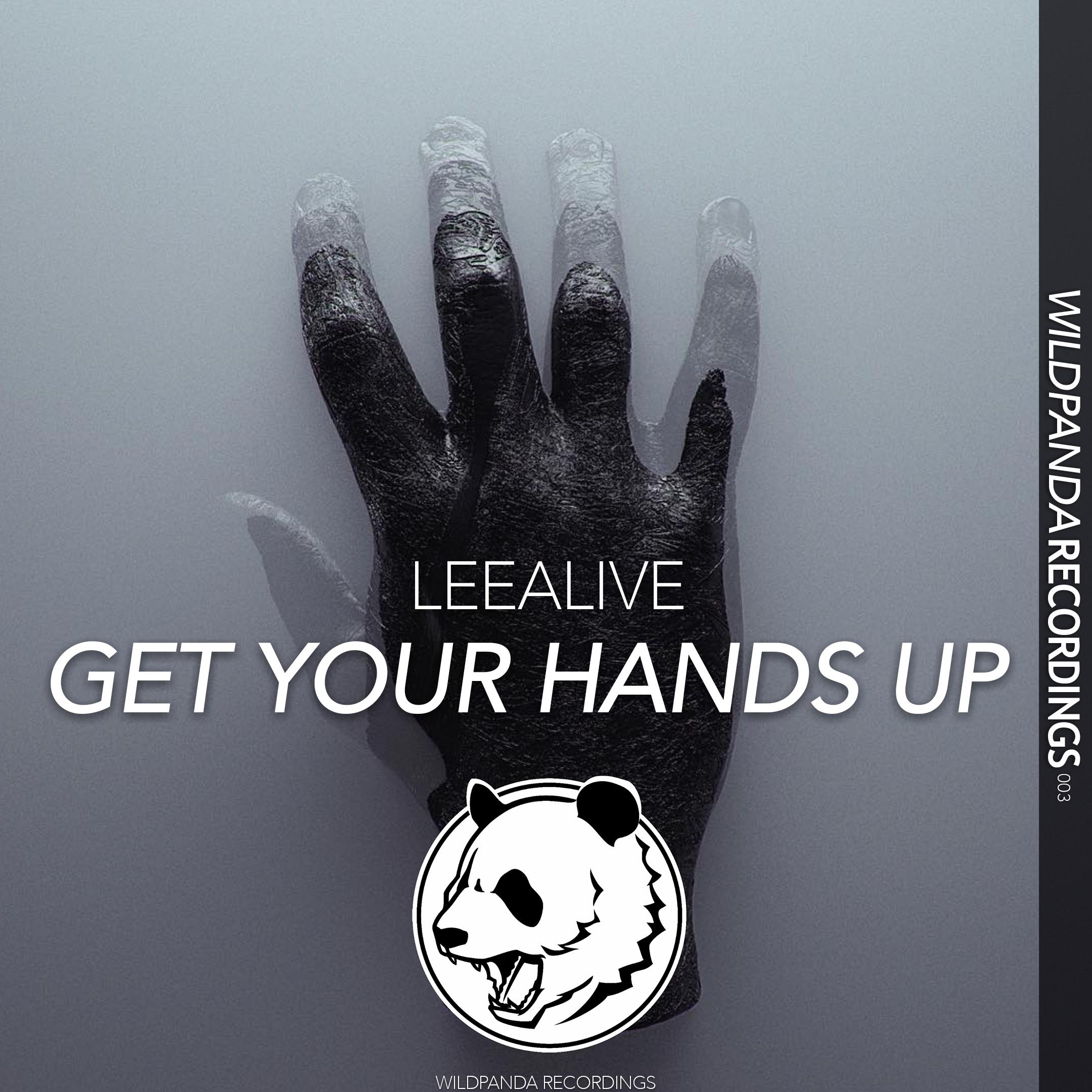 GET YOUR HANDS UP(Original Mix)专辑