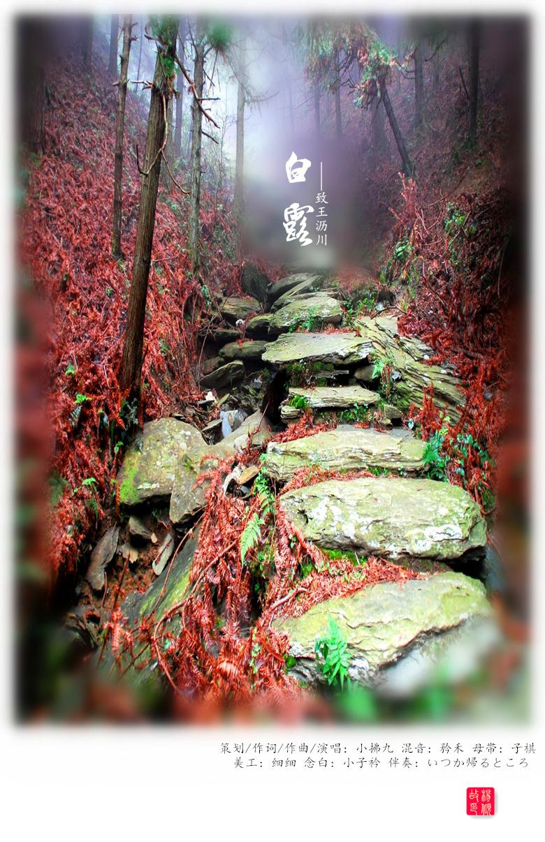 白露