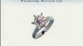 Wondering Married Life专辑