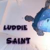 LUDDIE SAINT - EASE YOUR PAIN