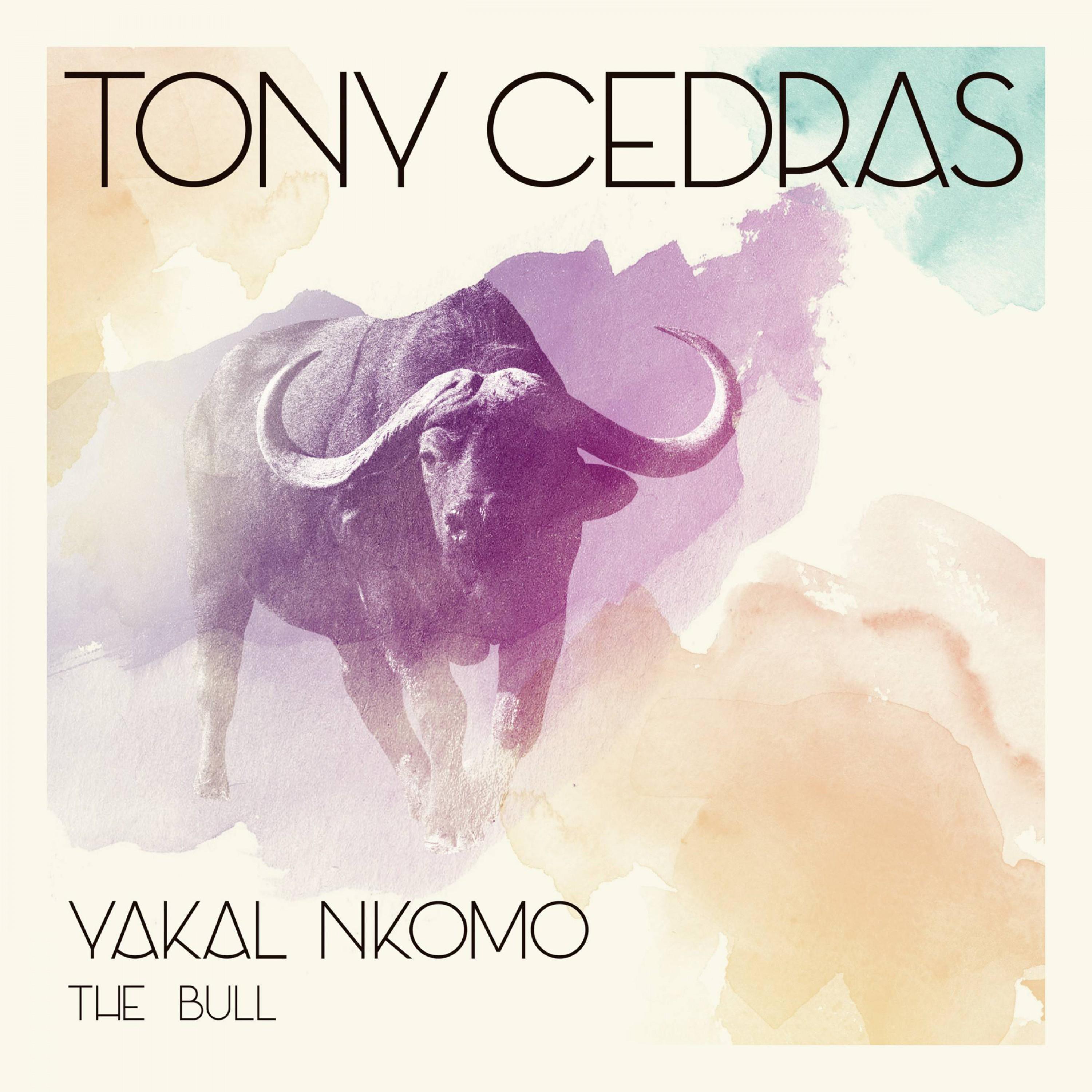 Yakal Nkomo (The Bull)