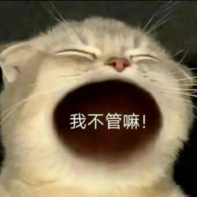 你好美丽的小姐，哥的名字叫做Bond