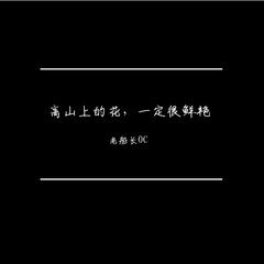 高山上的花，一定很鲜艳（demo）