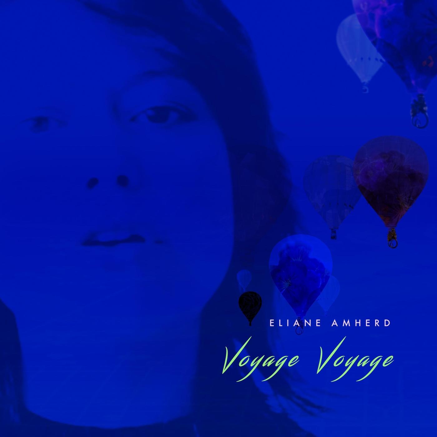 Voyage Voyage