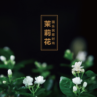 茉莉花伴奏（降E）