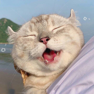 对自己好一点，那是会跟你在一起最久的人