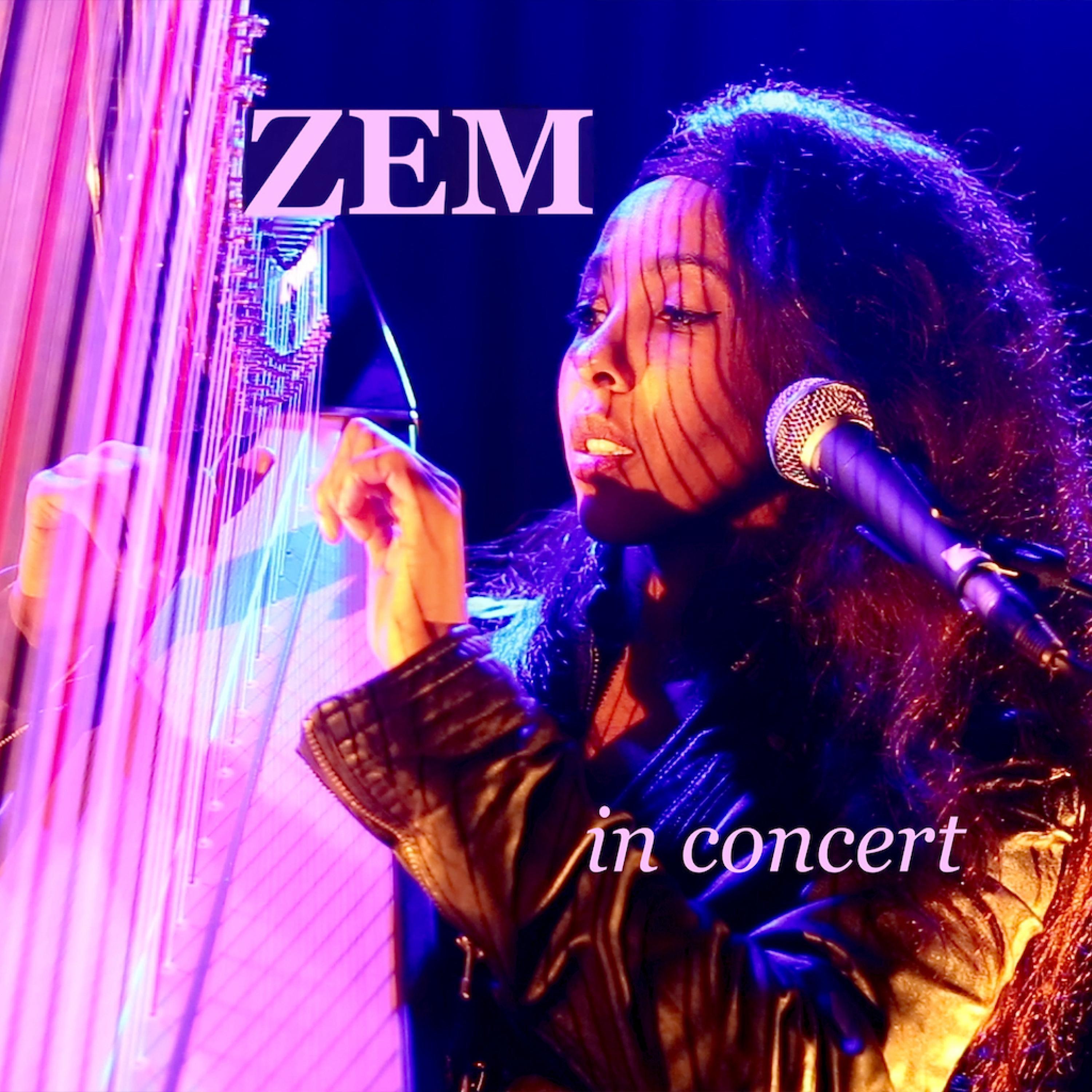 Everybody should look in the mirror once (Live)
