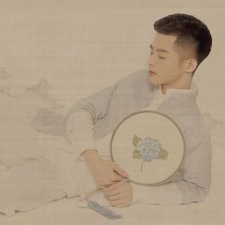 你是春天的木棉在夏天纷扬的雪