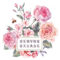 天灰 纯钢琴伴奏 极品收藏 （钢琴）