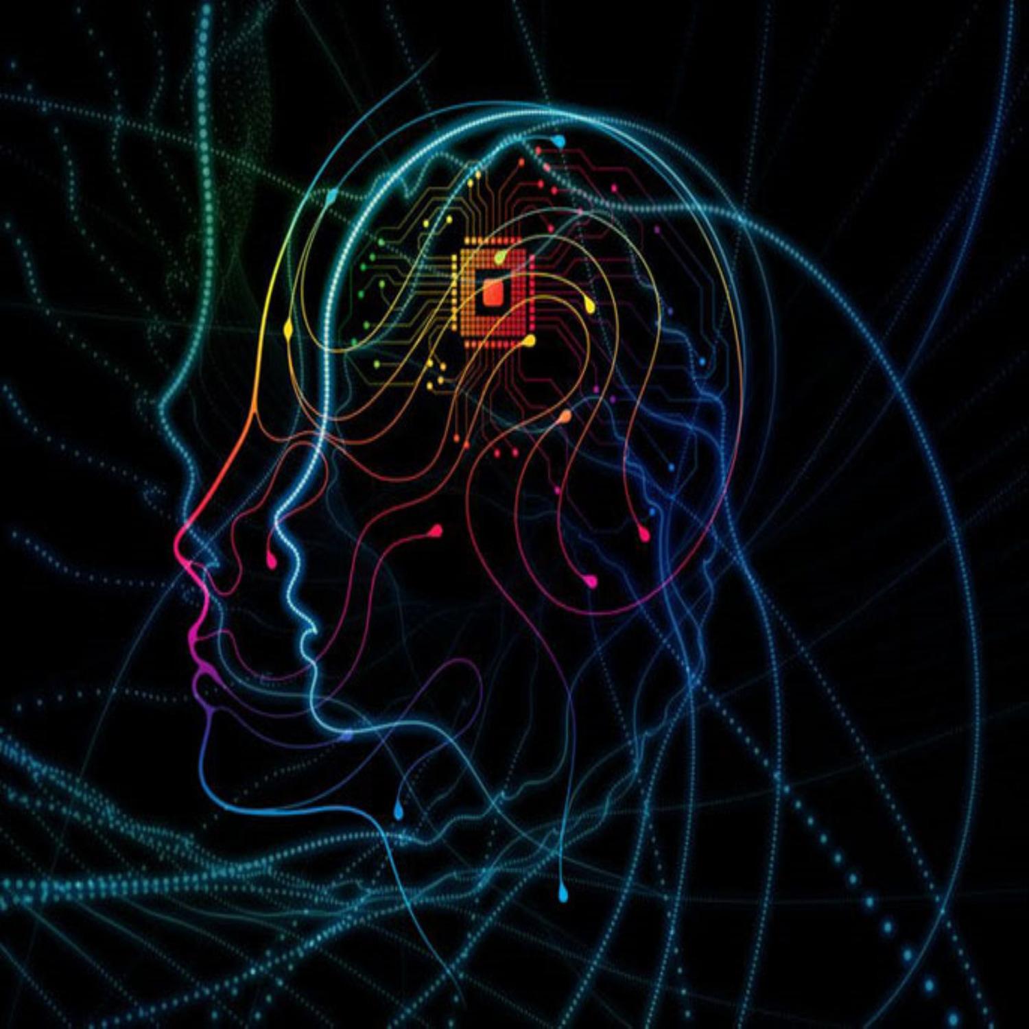 Brain Plasticity