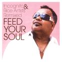 FEED YOUR SOUL - INCOGNITO & RICE ARTISTS REMIXED专辑