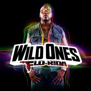Wild Ones - Flo Rida & Sia (Z karaoke) 带和声伴奏 （降6半音）