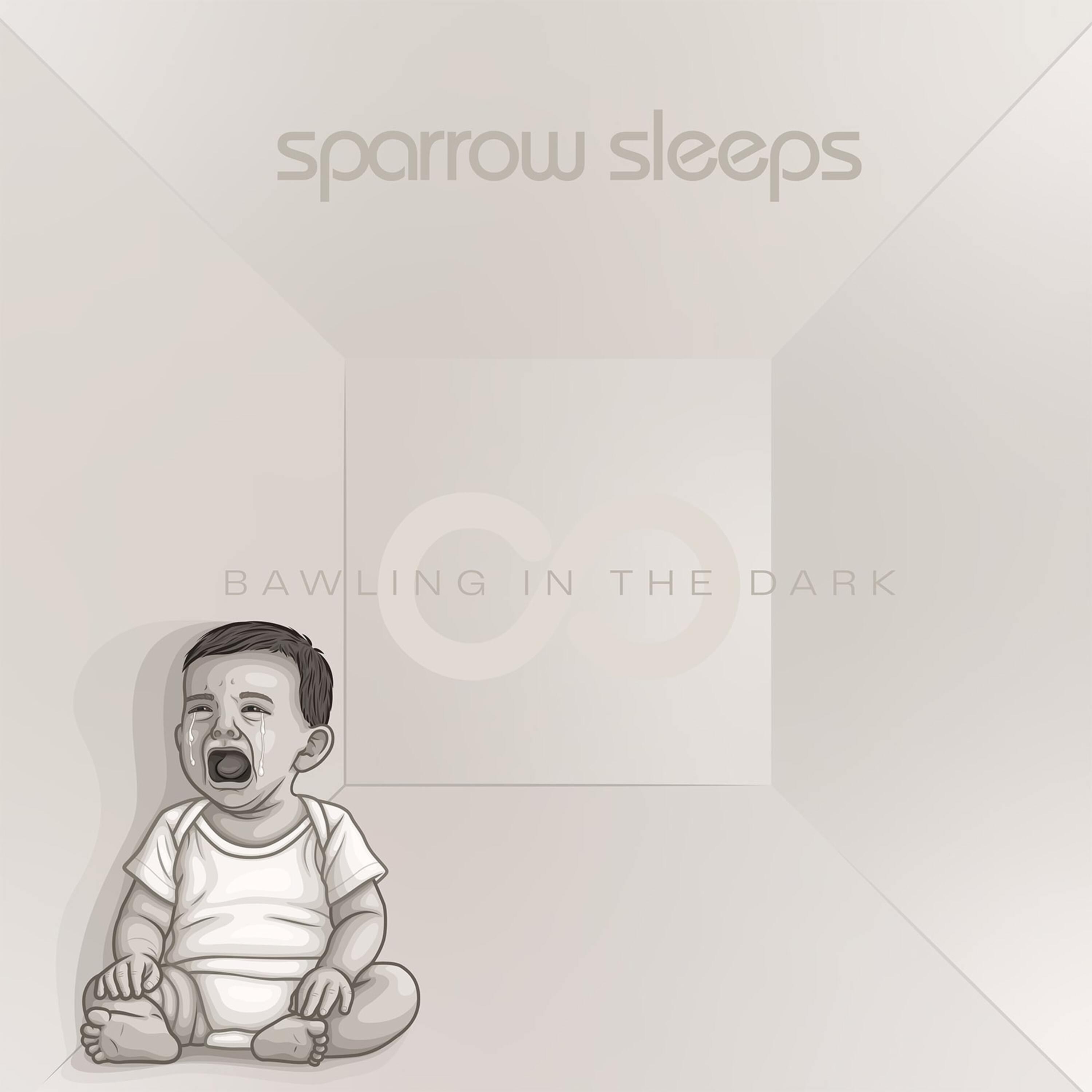 Bawling In the Dark: Lullaby covers of Hoobastank songs