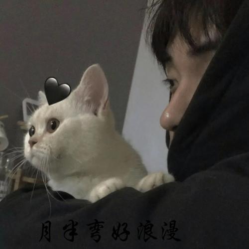 有多少(快手版)