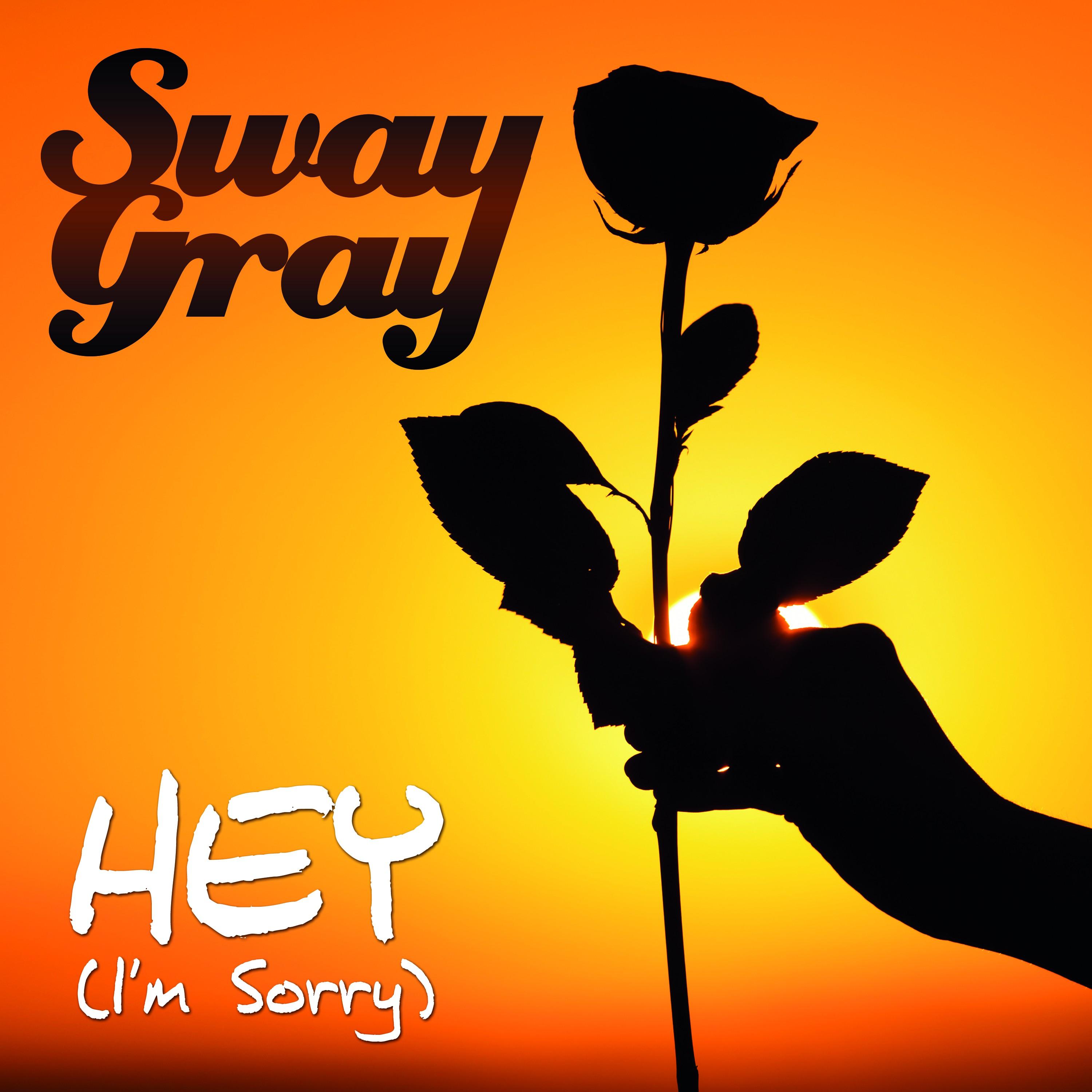 Hey (I'm Sorry) (Extended Mix)