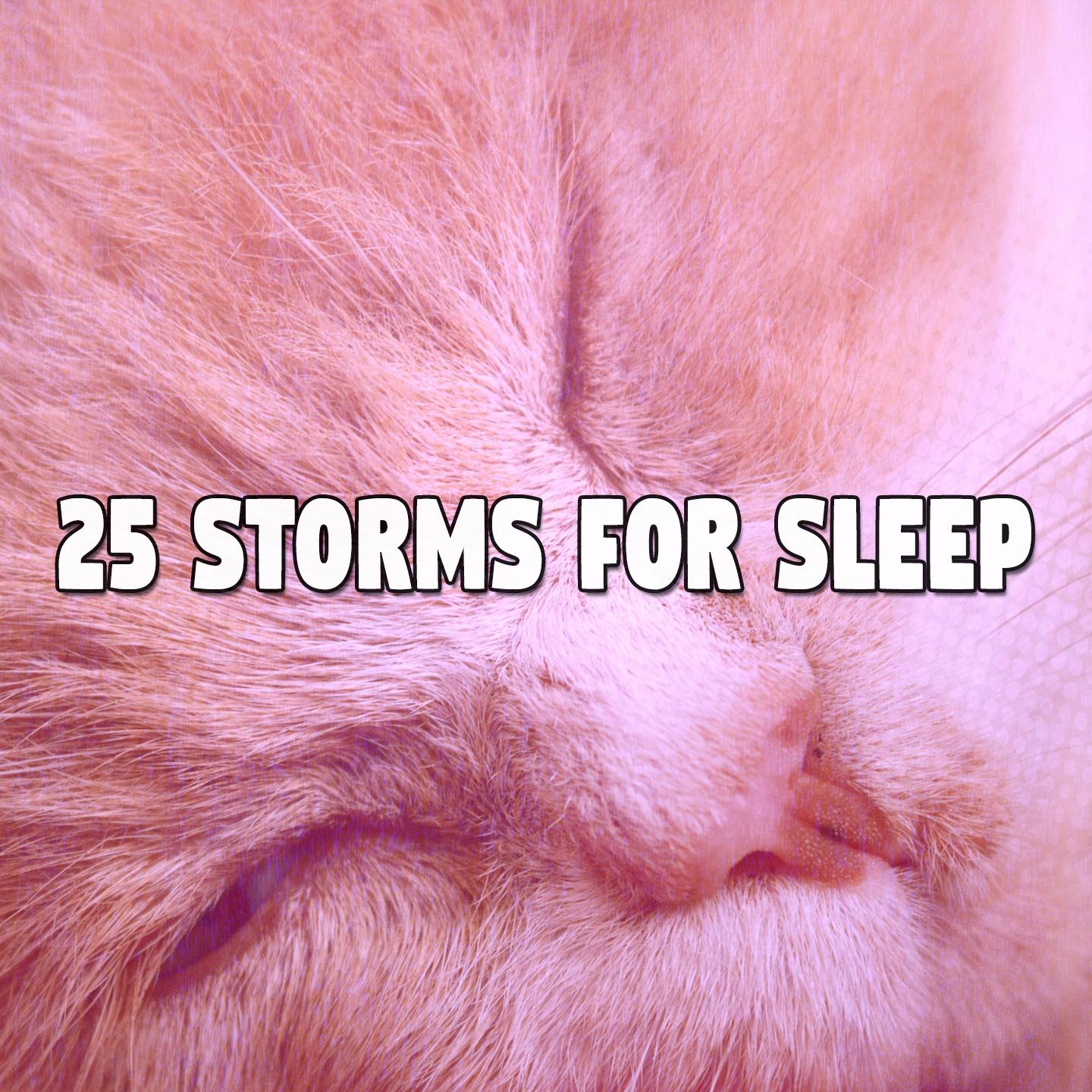 25 Storms For Sleep专辑